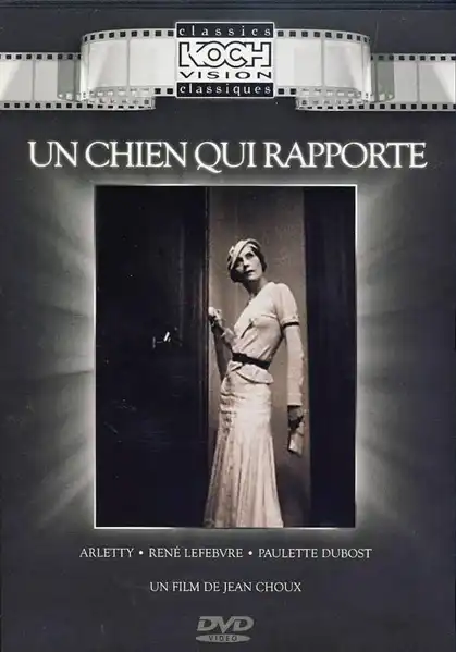 Un chien qui rapporte photo