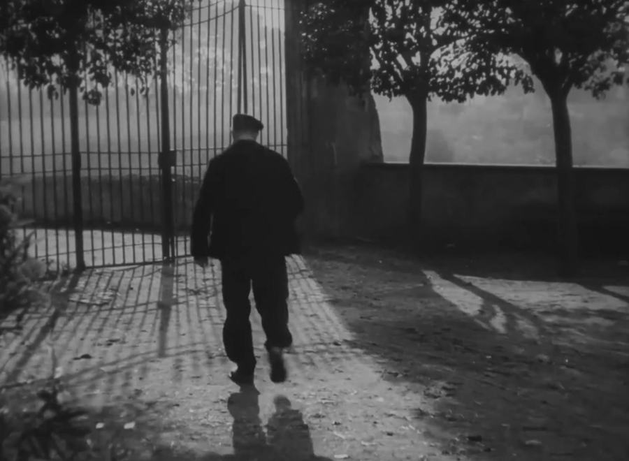 I topi grigi scene