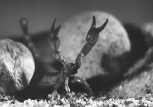 Microscopic Mysteries scene