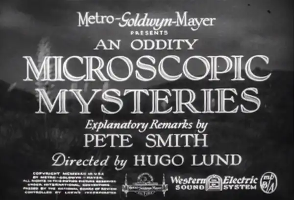 Microscopic Mysteries scene