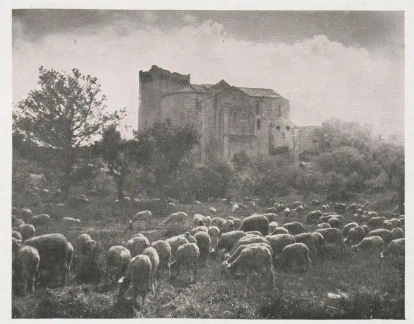 La femme rêvée photo