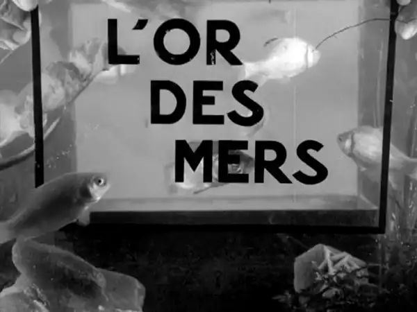 L'or des mers scene