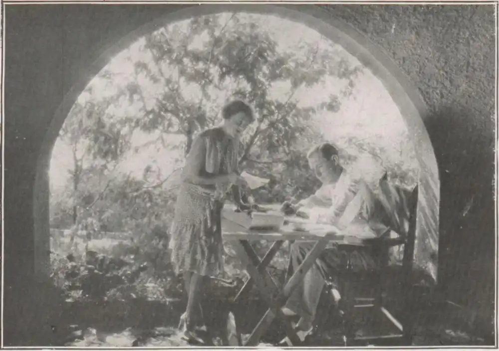 La femme du voisin scene
