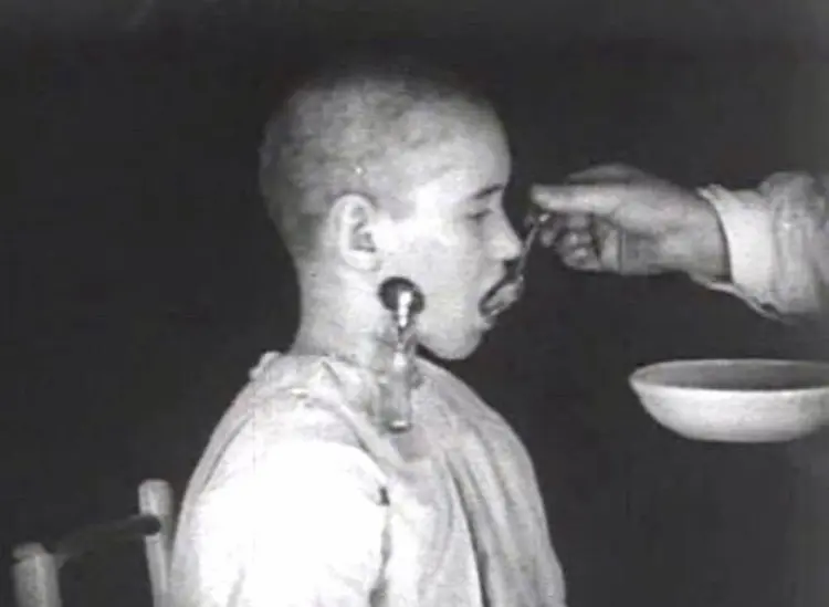 Mekhanika golovnogo mozga scene