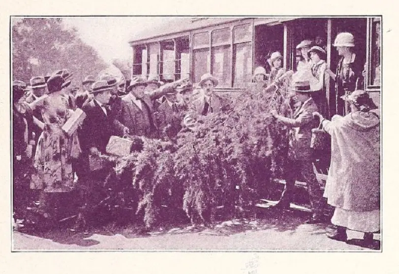 The Royal Razz scene