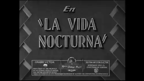 La vida nocturna photo