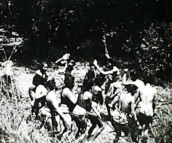 Wild Women of Borneo scene