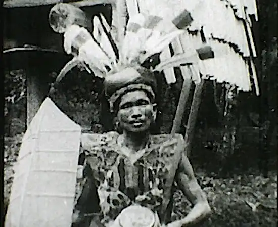 Wild Women of Borneo scene