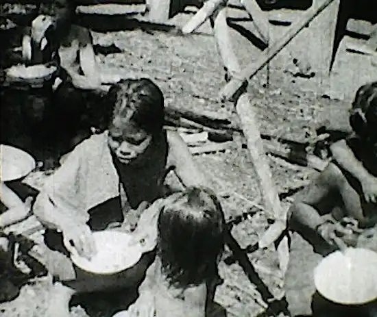 Wild Women of Borneo scene