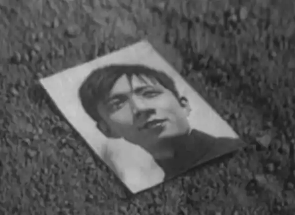 Taoli jie photo