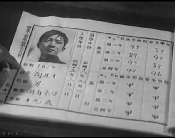Taoli jie photo