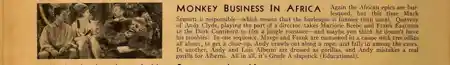 Monkey Business in Africa photo