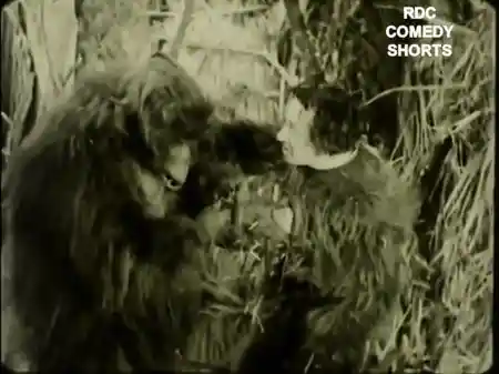 Monkey Business in Africa photo