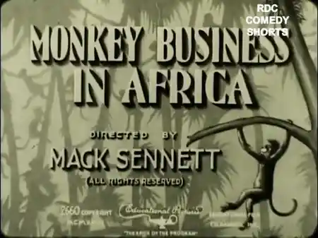 Monkey Business in Africa photo