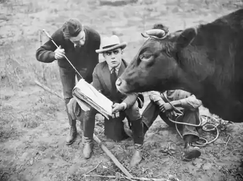 'Tis the Bull scene