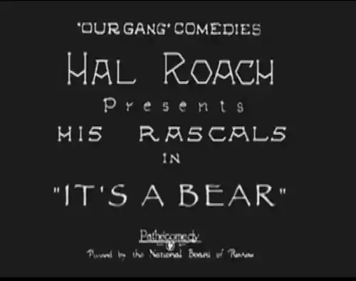 It's a Bear photo