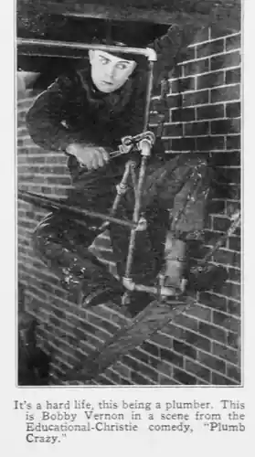 Plumb Crazy photo