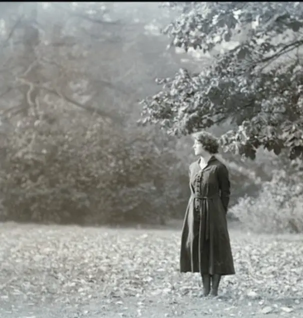 Comin' Thro' the Rye scene