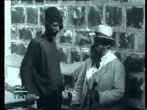 Life of the Jews of Palestine photo
