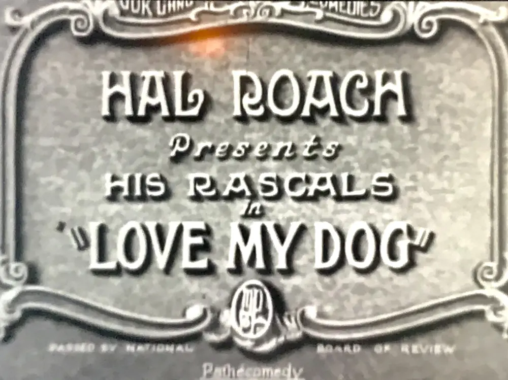 Love My Dog scene