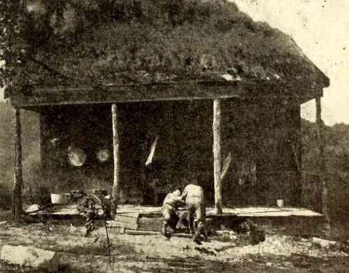 Peril of the Plains photo