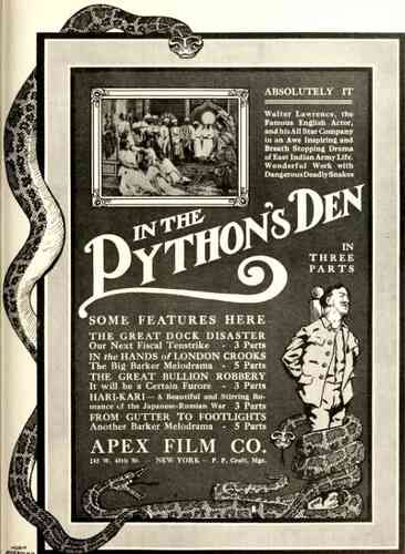 In the Python's Den photo