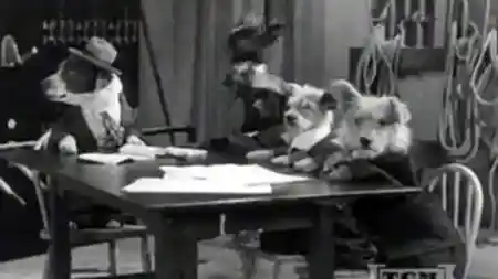 The Two Barks Brothers scene