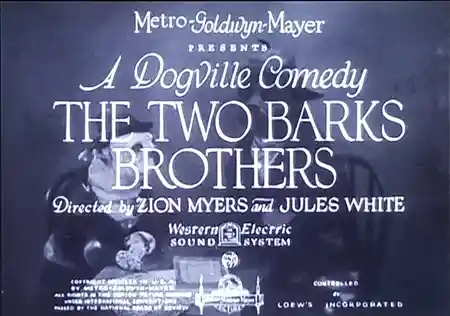 The Two Barks Brothers scene
