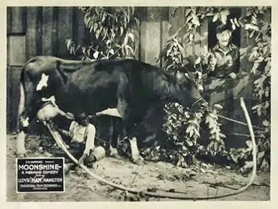 Moonshine scene