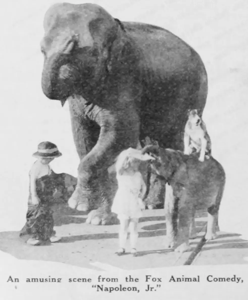 Napoleon, Jr. scene