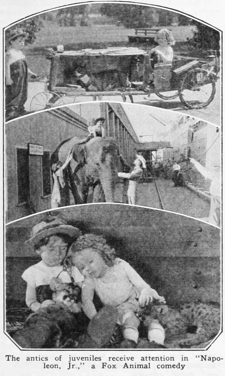 Napoleon, Jr. scene