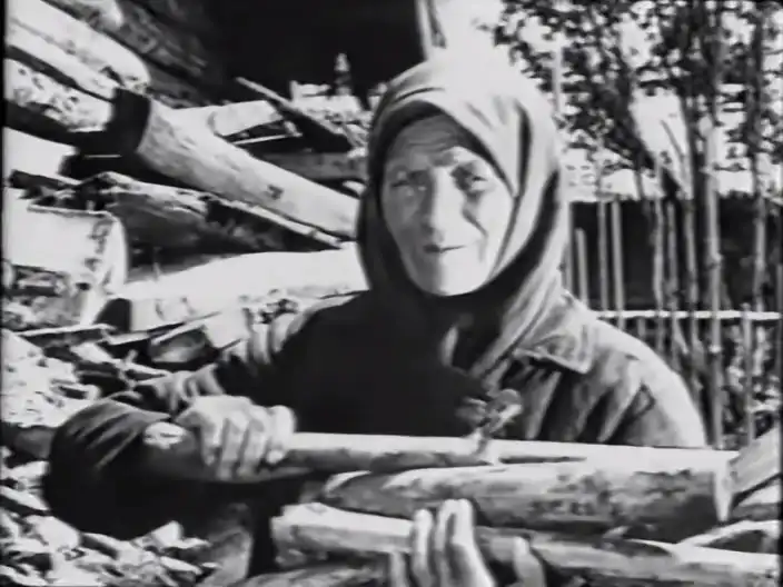 Tanka-traktirshchitsa photo