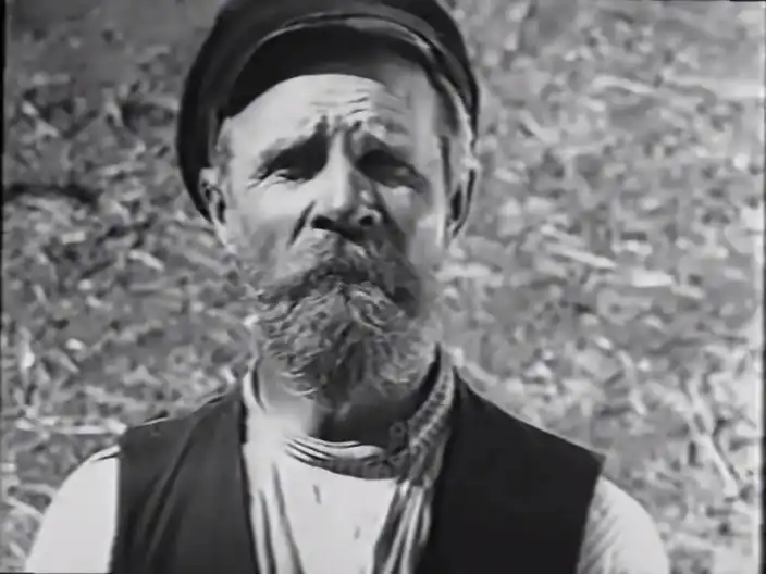 Tanka-traktirshchitsa photo