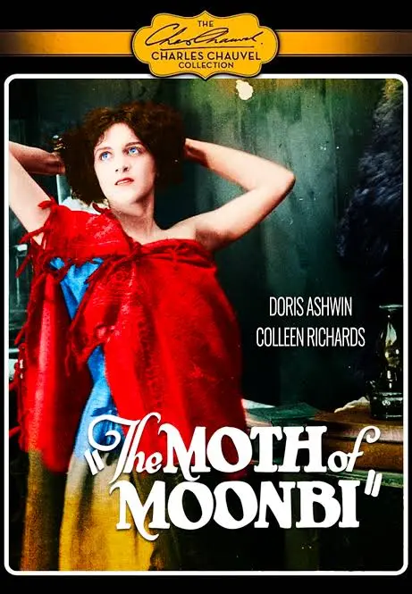 The Moth of Moonbi photo