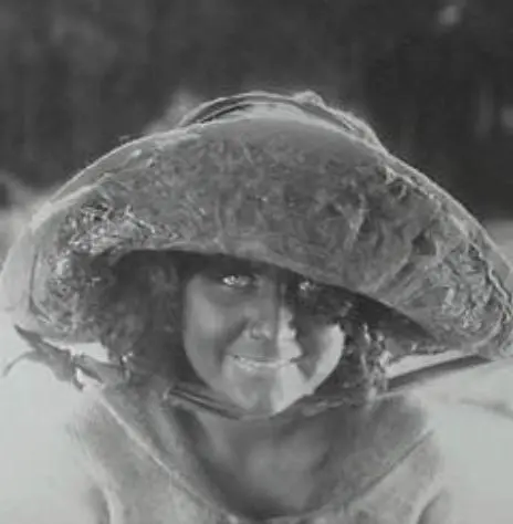 The Moth of Moonbi photo