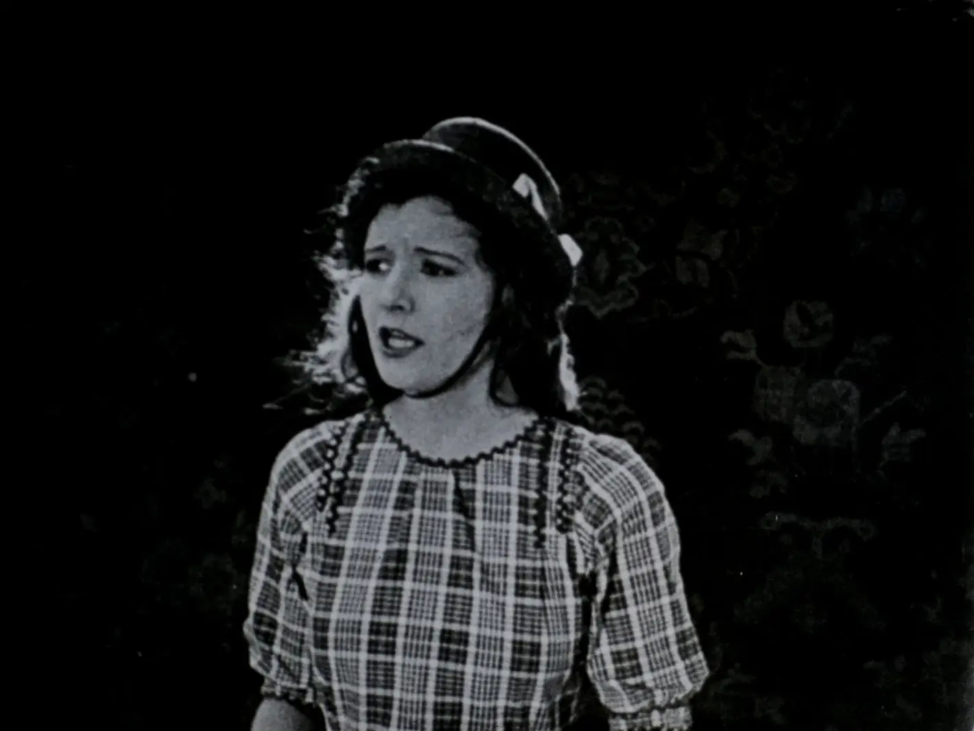 The Soapsuds Lady
