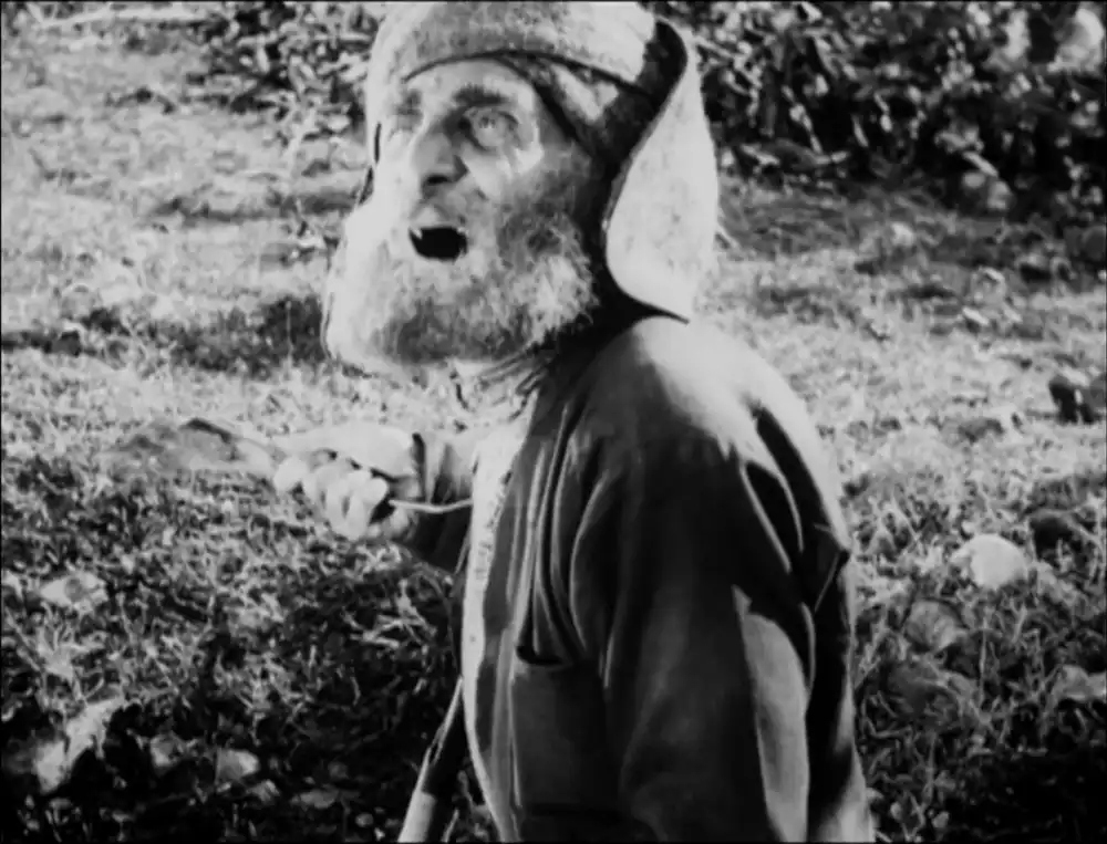 Akhalgazrdoba imardjvebs scene