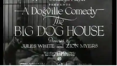 The Big Dog House