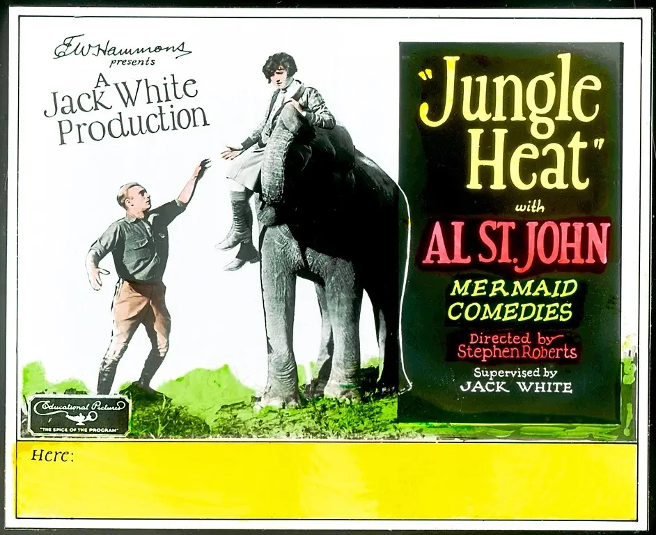 Jungle Heat photo