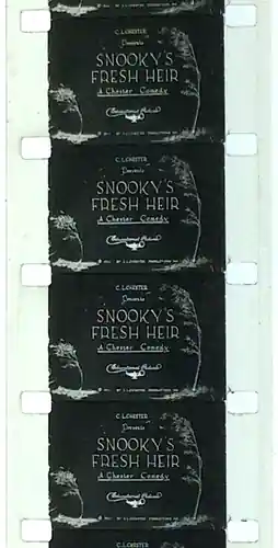 Snooky's Fresh Heir photo
