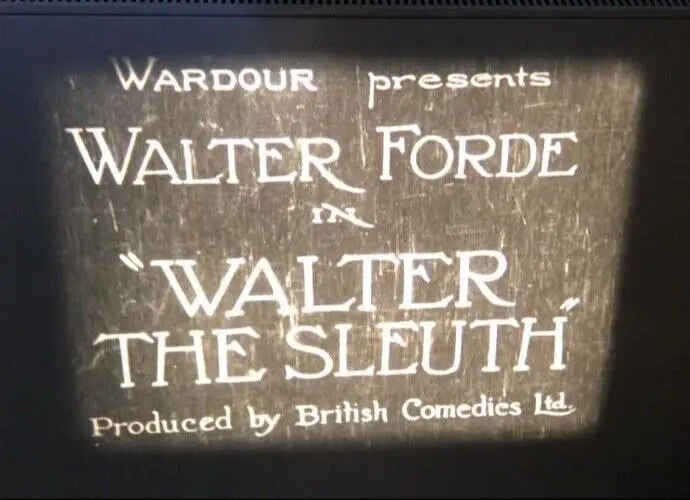 Walter the Sleuth scene