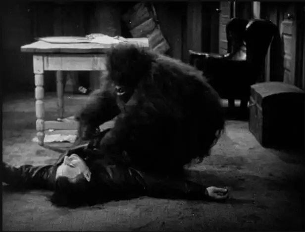 The Devil Bear photo