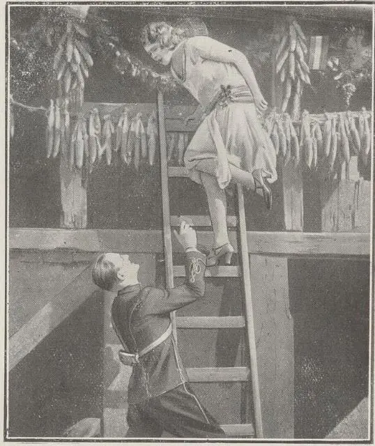 Die Czardasfürstin scene