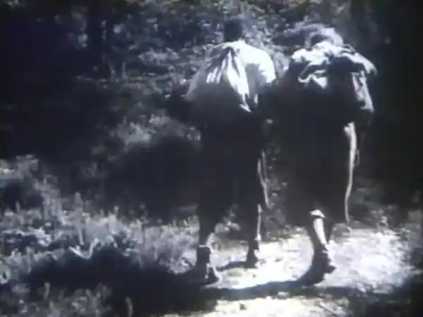 Triglavske strmine scene