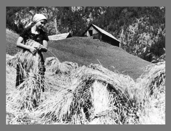 Triglavske strmine scene