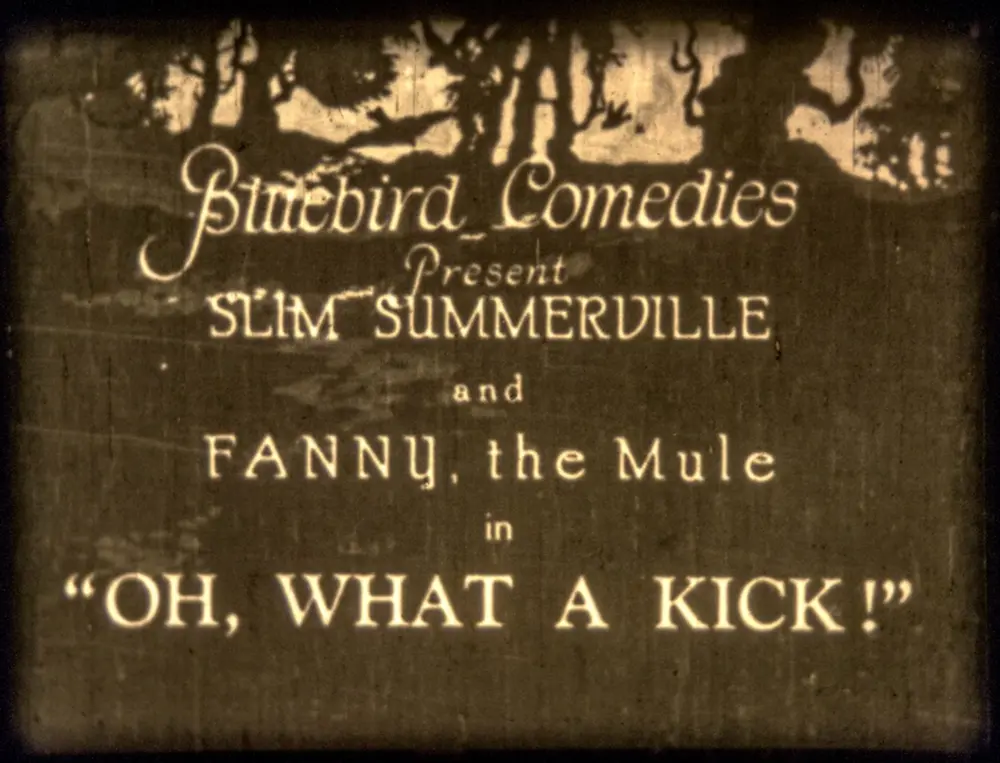 Oh, What a Kick! photo