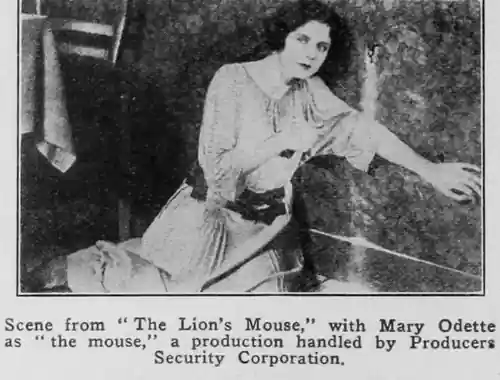 The Lion's Mouse photo