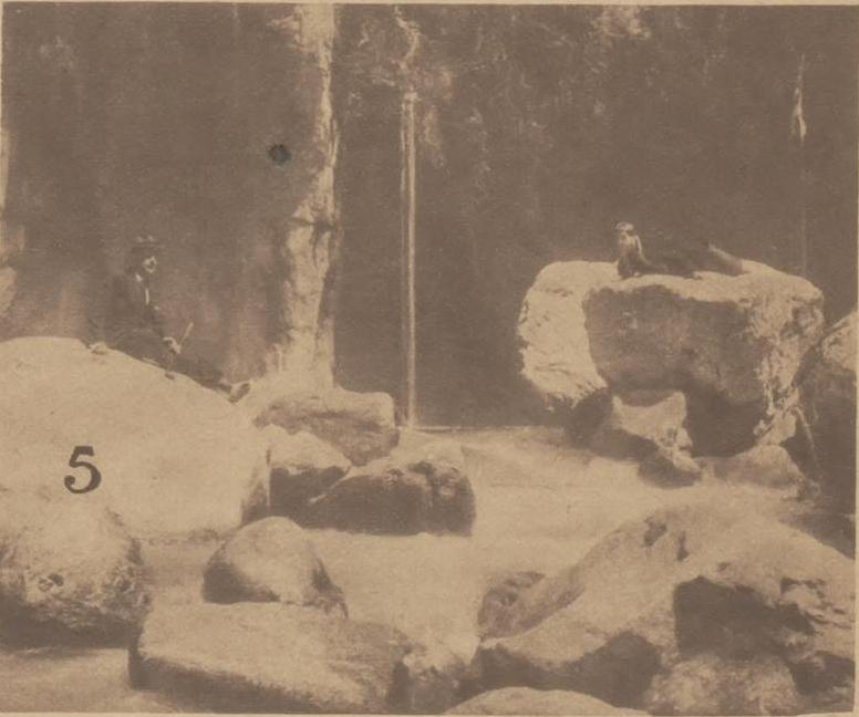 Le torrent scene