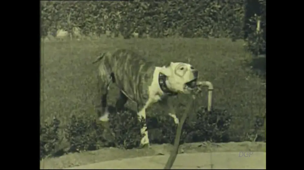 Buster's Mix-Up scene