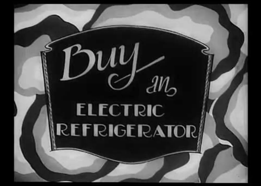 Buy an Electric Refrigerator